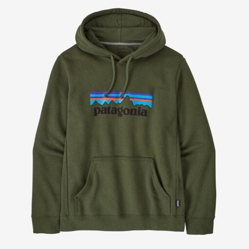 Patagonia Green Hoodie